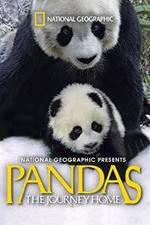 Watch Pandas: The Journey Home 123movies Watch Pandas: The Journey Home 123movies